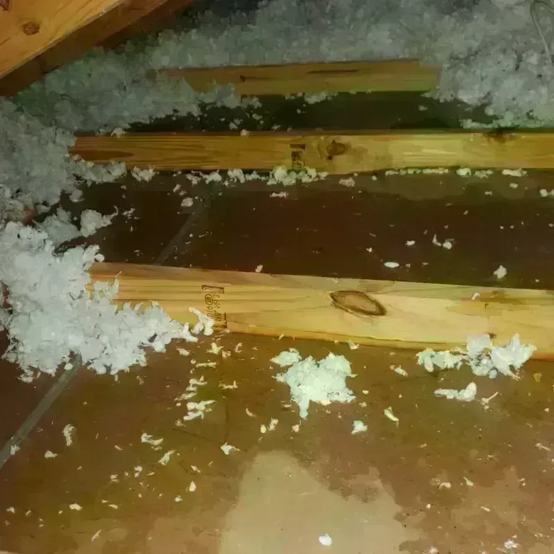 Attic Water Damage in Johnstown, PA